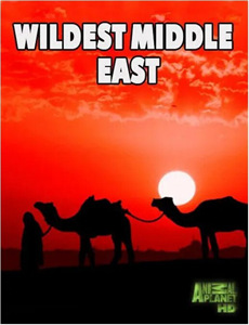 我不讲理吗 第二季